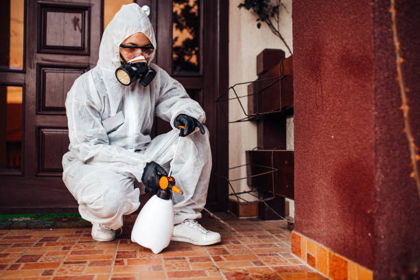 Attic and Crawl Space Rodent Treatment in Potomac Park